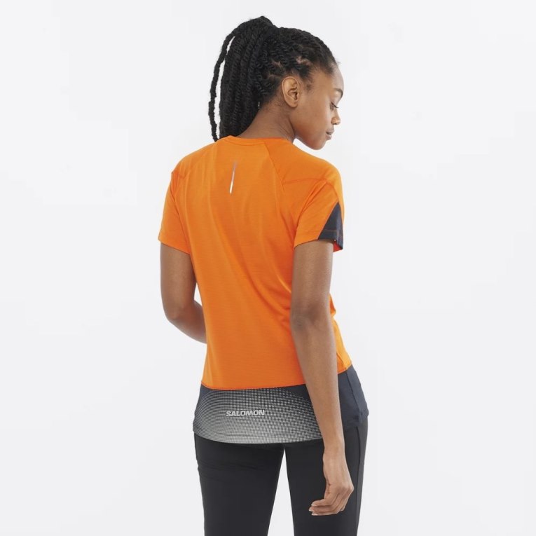 Camiseta Salomon Cross Run Curta Sleeve Feminino Laranja | PT Y68210